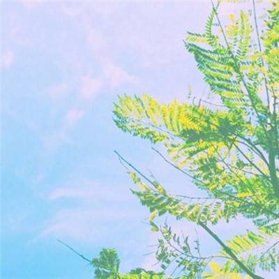 烈焰高爆满v版下载
